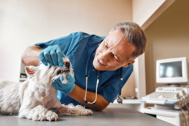 Best Emergency Dentist for Special Needs Patients in Buxton, NC